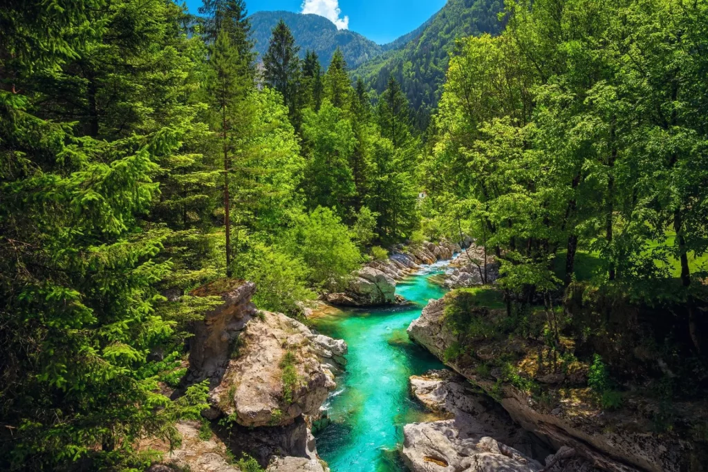 Valle del río Soča