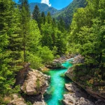 Valle del río Soča
