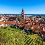 A view of the vineyards and the center of Ptuj