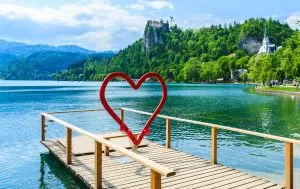 bled heart daytime